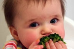 Bí quyết tập cho con ăn rau củ quả